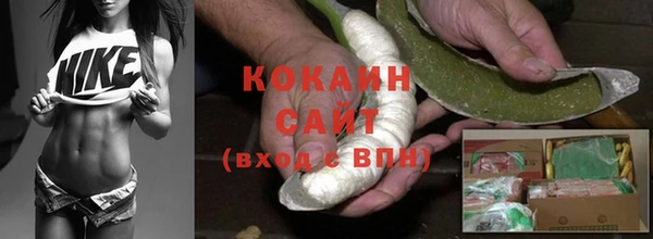 гашик Арсеньев