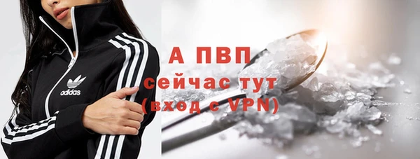 гашик Арсеньев