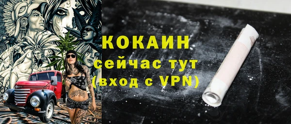 гашик Арсеньев