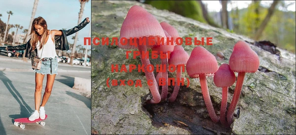 гашик Арсеньев
