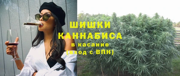 гашик Арсеньев