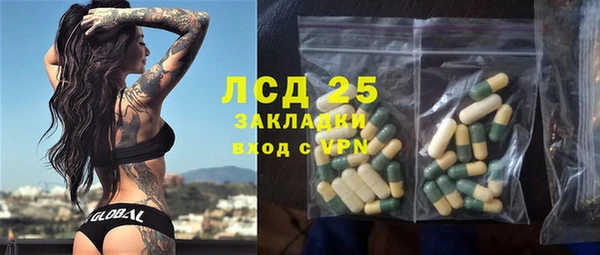 гашик Арсеньев
