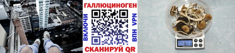 omg ссылки  Удомля  Галлюциногенные грибы MAGIC MUSHROOMS 